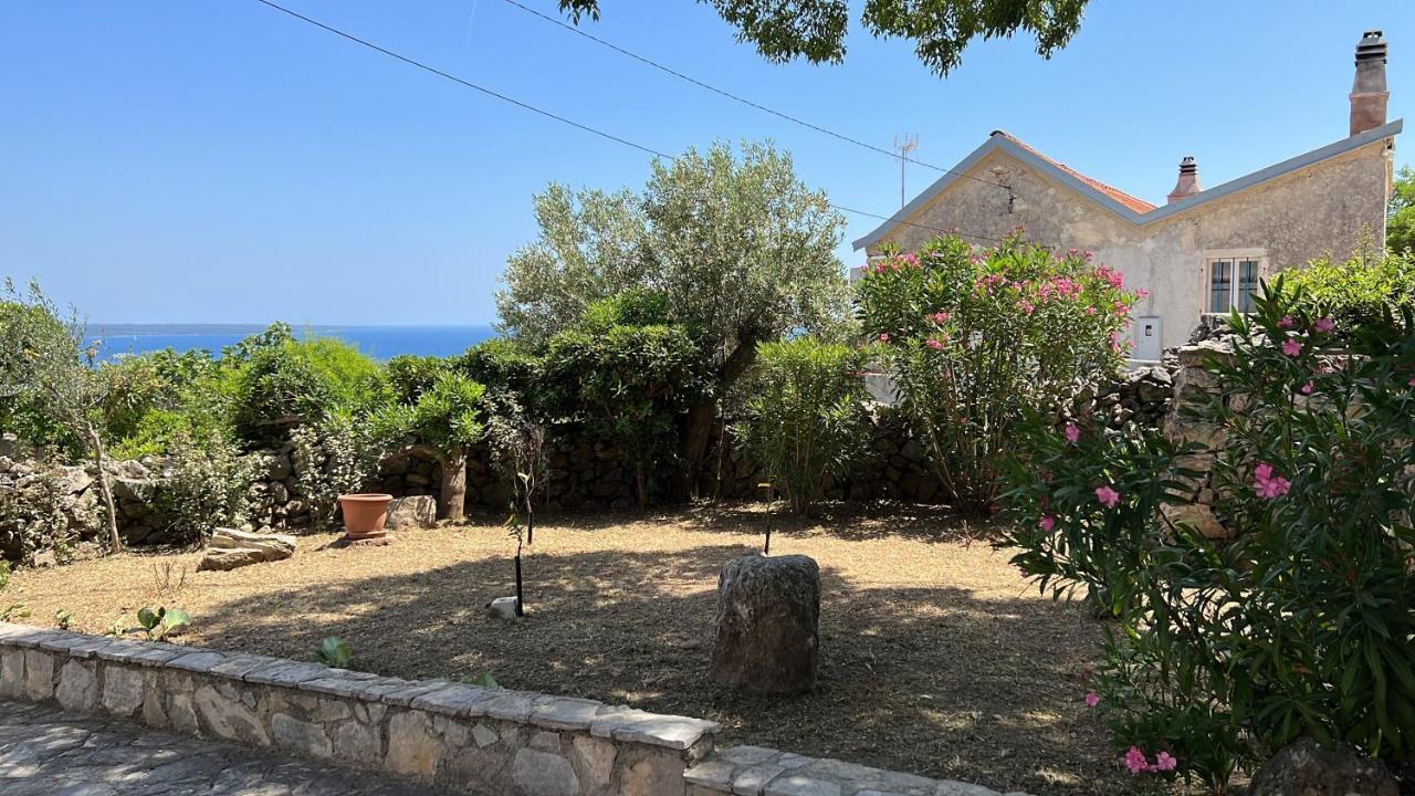 Podgora Experience Suite With Jacuzzi ネレジネ エクステリア 写真