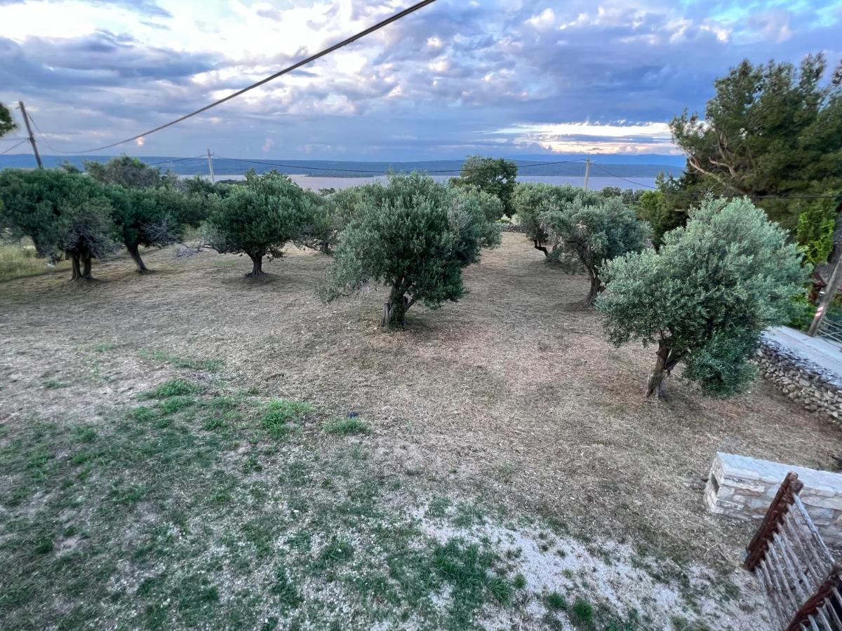 Podgora Experience Suite With Jacuzzi ネレジネ エクステリア 写真